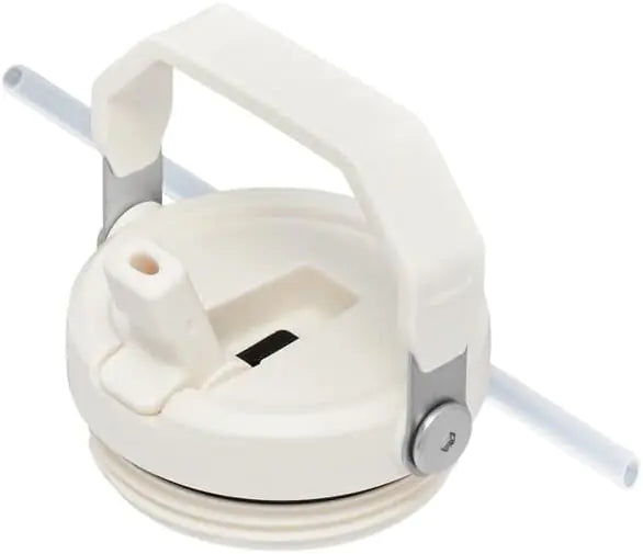 STANLEY IceFlow Vacuum-Sealed Tumbler with Straw